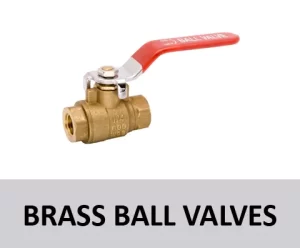 Brass Check Valves