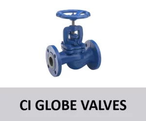 CI Globe Valves