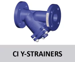 CI Y Strainers