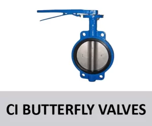 CI Butterfly Valves