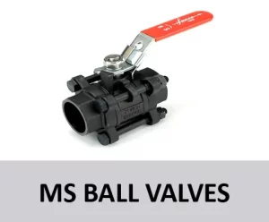MS Ball Valves