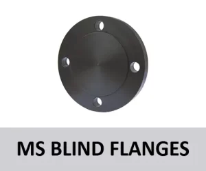 MS Blind Flanges from Mabrook UAE