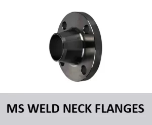 MS Weld Neck Flanges from Mabrook UAE