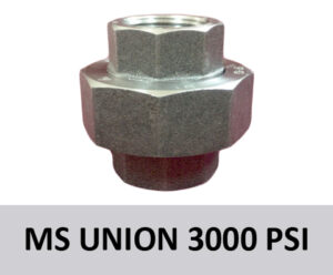 MS-Union-3000-PSI